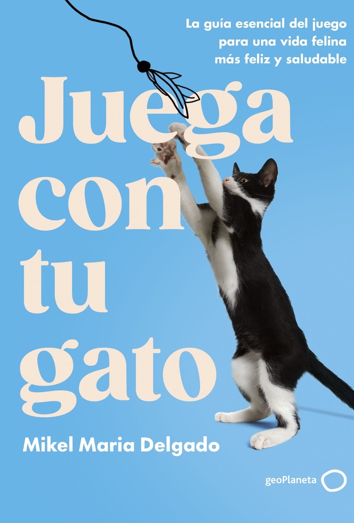 Juega con tu gato