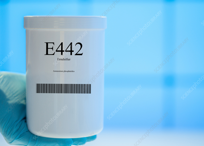 E442