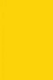 PAQ/25 CARTULINA IRIS 50X65 GUALDA 185GR R:200040222 - CAJA DE 25
