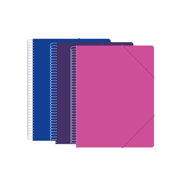 CARPETA DESCOM 20 FUNDAS