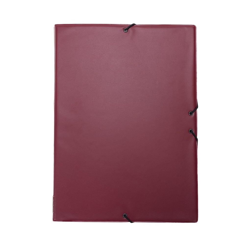 CARPETA GOMAS ROJA