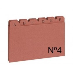 INDICE N� 4