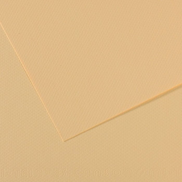 Papel mi-teintes 50X65 160GRS lichen pastel