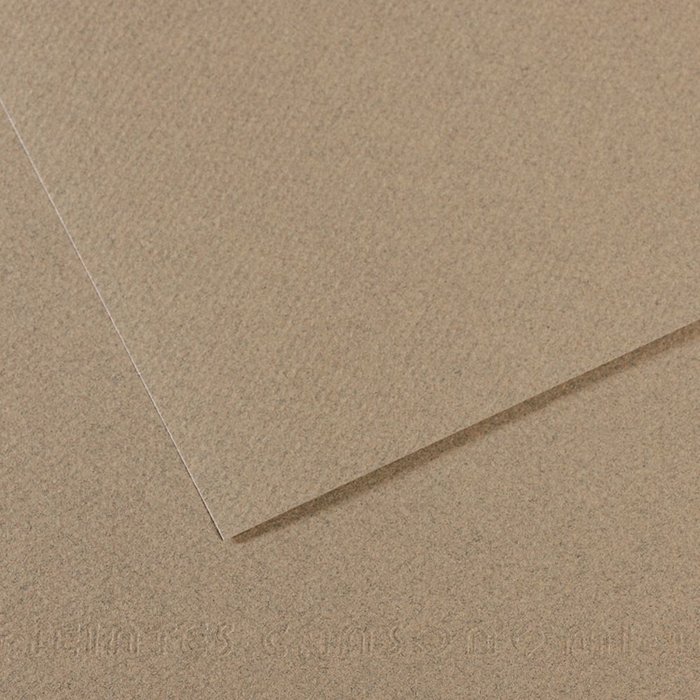 Papel mi-teintes 50X65 60% abeja 160G numero 429