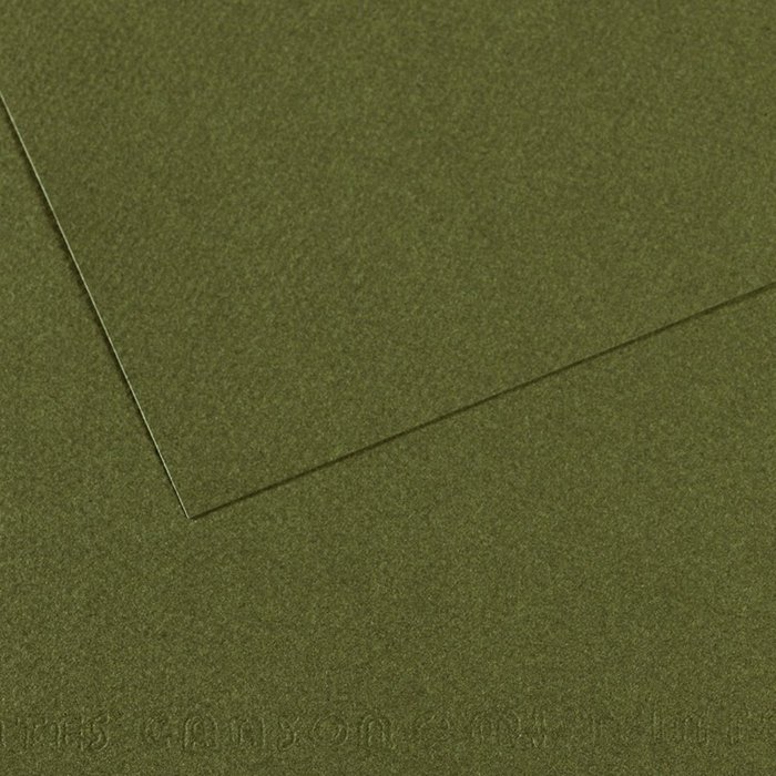 Papel mi-teintes 50X65 160GR verde oceano 448