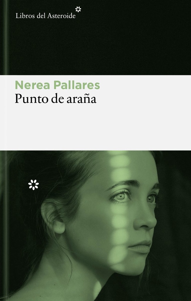 Punto de araña