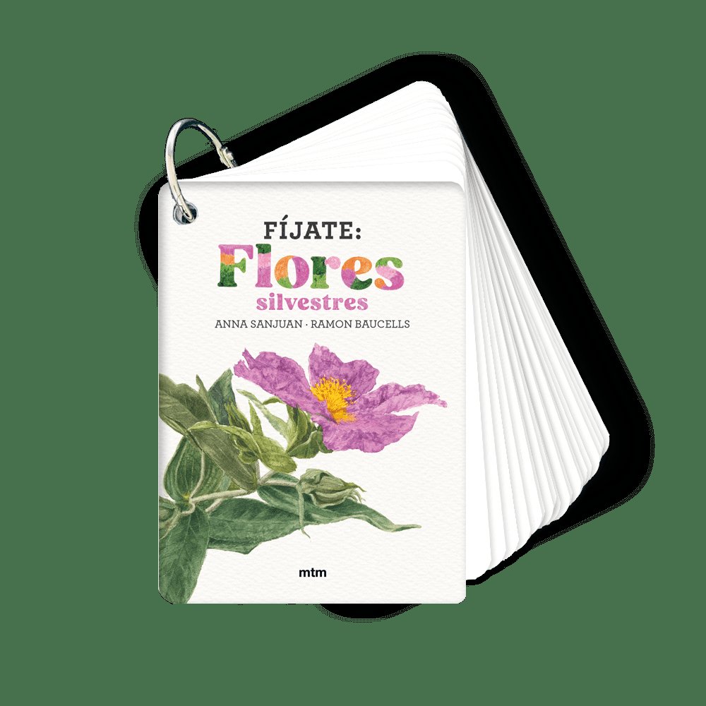 Fíjate: flores silvestres