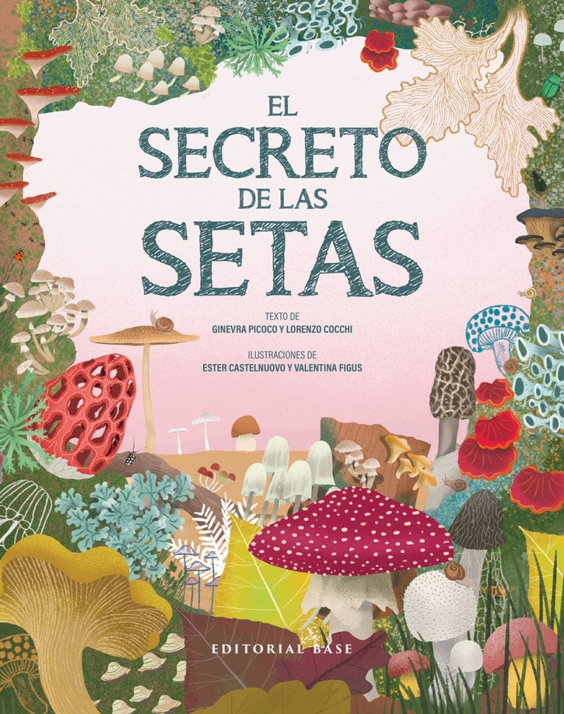 El secreto de las setas