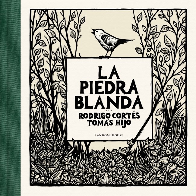 La piedra blanda