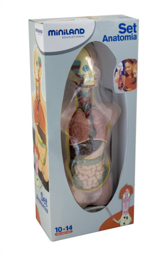 Juego anatomia humana 11 piezas 50 cm miniland 99020