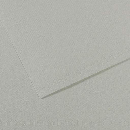 [C31033S117] Papel mi-teintes 50X65 160GR gris cielo
