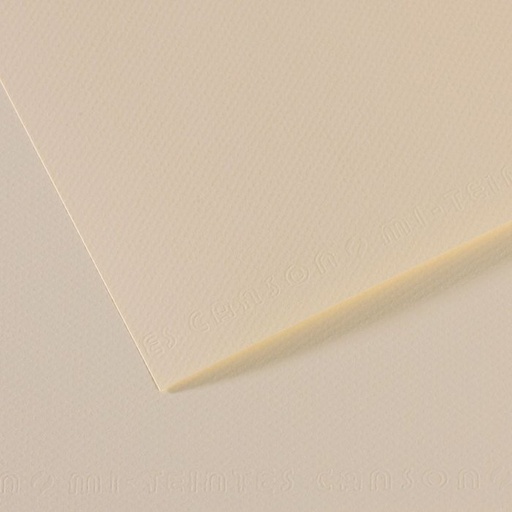 [C31032S091] Papel mi-teintes 50X65 160GR ( 110) flor de lys