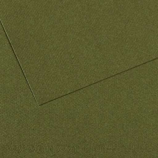 [C31033S121] Papel mi-teintes 50X65 160GR verde oceano 448