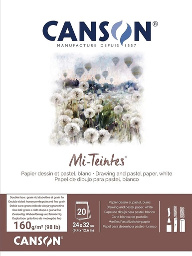 Alb esp 24X32 20H canson mi-teintes 60% abeja 160G blanco