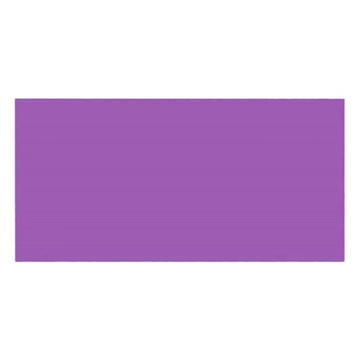 GOMA EVA 40X60 VIOLETA P/10UND.