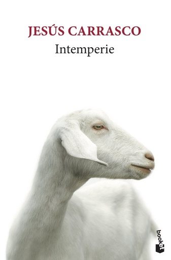 [978-84-322-3575-7] Intemperie