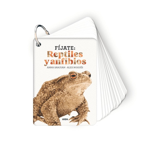 [978-84-10407-59-6] Fíjate: reptiles y anfibios