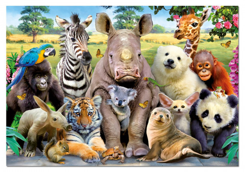 [15517] Puzzle 1000 piezas foto de clase educa 15517