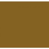 Paq / 50 cartulina iris A4 chocolate 185GR r: 200040176